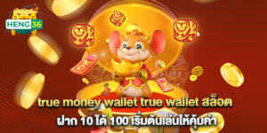 true money wallet true wallet สล็อต ฝาก 10 ได้ 100 เริ่มต้นเล่นให้คุ้มค่า
